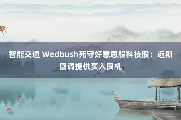 智能交通 Wedbush死守好意思股科技股：近期回调提供买入良机