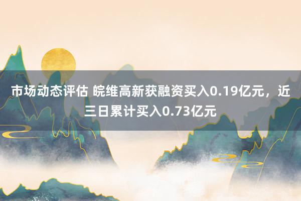 市场动态评估 皖维高新获融资买入0.19亿元，近三日累计买入0.73亿元