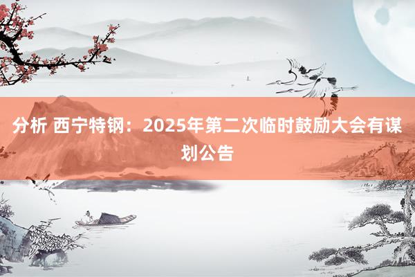 分析 西宁特钢：2025年第二次临时鼓励大会有谋划公告