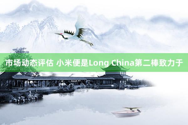 市场动态评估 小米便是Long China第二棒致力于